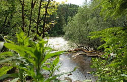 Le Chablis étoilé - Foto 30