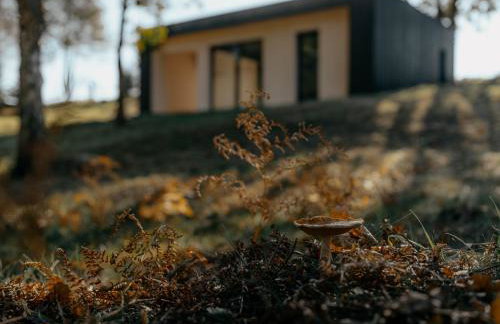 Osada Pod Łąkami - Foto 42