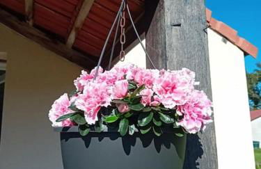 Gîte La Petite Roche - Foto 7