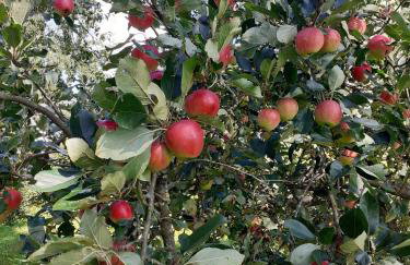 Agroturystyka Nasza Bajka - Foto 17