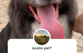 Cabana com lareira, hidro, cavalos e piscina - Foto 43