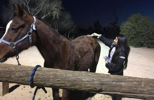 Shirley Creek Retreat: a Mountain Oasis - Foto 51