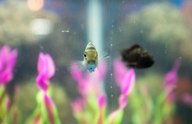 2 Bedroom Downtown Apt Clean and Safe - Foto 13