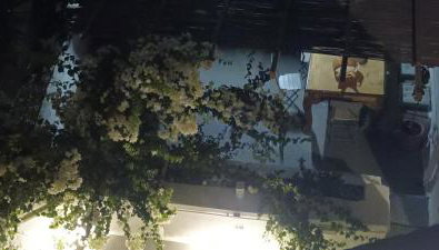 Constantis Mansion - Foto 4