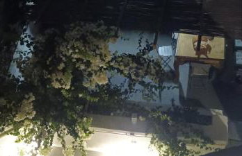 Constantis Mansion - Foto 4