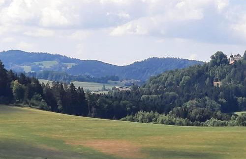 Haus Amann - Foto 23