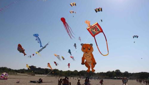 The charming Mare Pineta Mobile home 4 persons - Foto 5