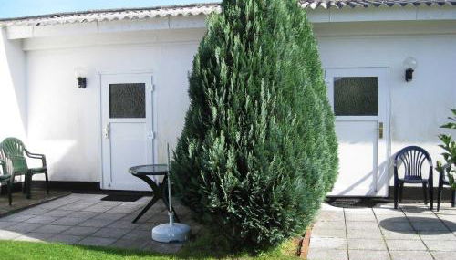 Seepferdchen - Foto 3