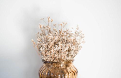 Ermal Terrace - Foto 16