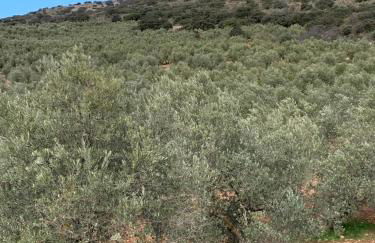 La Casita del Pastor - Foto 24