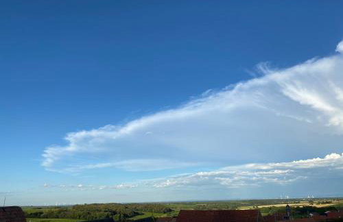 Atelier de Pfalz-Loftstyl mit Pfalzblick - Foto 11