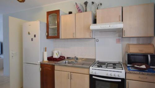 Back To Nature - Apartment Borodin - Foto 4