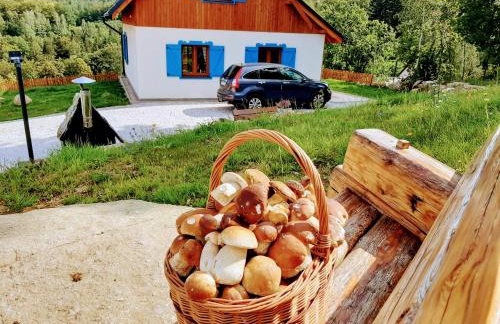 Kolorowe Karkonosze - Foto 15