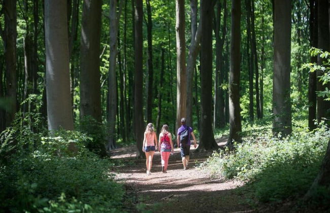 House in Former Monastery - Foto 38