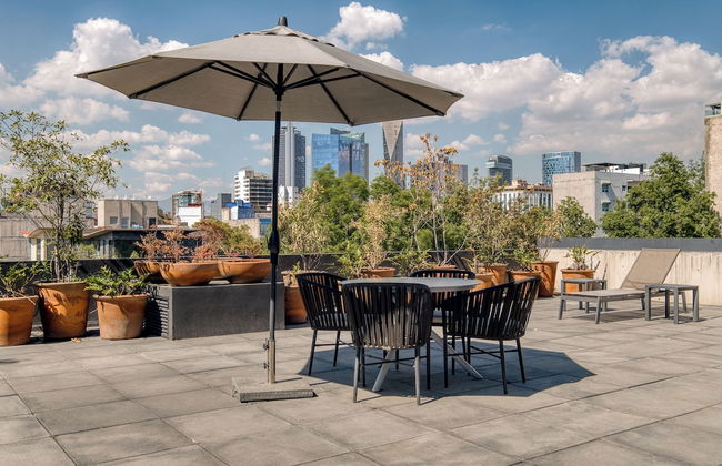 Boga Mexico City by Lumina - Foto 1