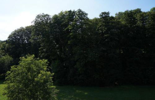 Die schönste Unterkunft im Odenwald - Foto 14