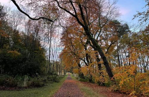 Foresters Cottage, Dalry - Foto 21