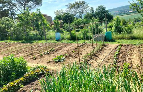 L'oca Nera - Foto 47