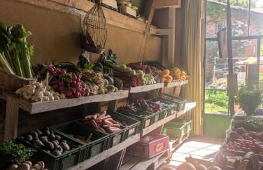 Himmel & Holz - Foto 35