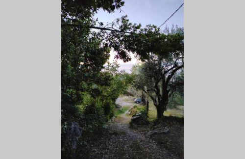 Olivia's Guest House - Foto 10