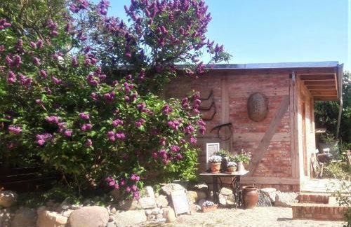 Landhaus Krummin - Foto 34