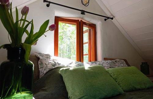 Siedlisko MiłoBrzózka - Photo 8