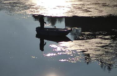 REPERE D'ALL - Foto 3