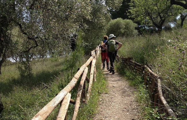 B&B Lido dei Pini - Photo 20