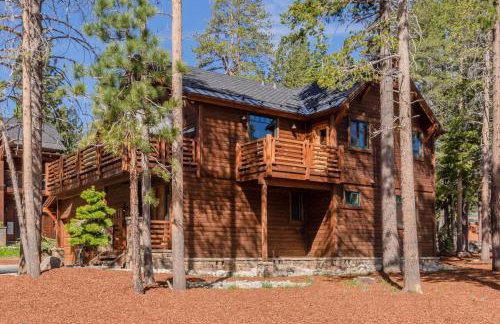 Gray Bear 514 - Foto 31