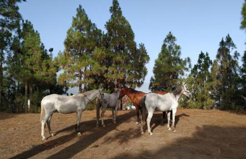 Finca rural House Tenerife Relax And Enjoy - Foto 56