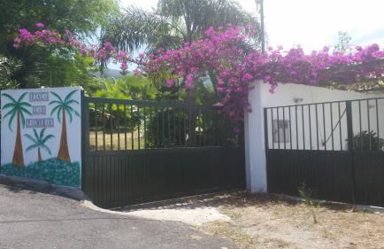 Finca las Palmeras - Foto 41