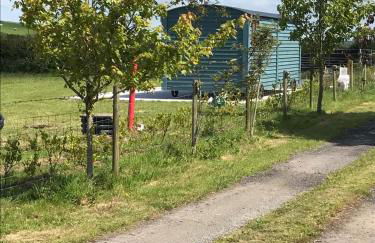 Ty Beti at Gorlan yr Efail Shepherds Hut with Private Hot Tub - Foto 21