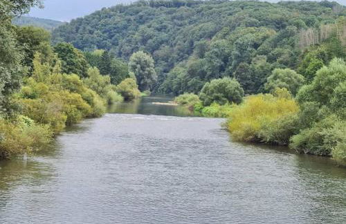 Ferienwohnung besonderer Art - Foto 41