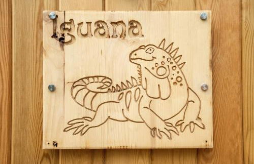 Iguana - Das Tiny Haus am Reptilienzoo Reptilium - Foto 16