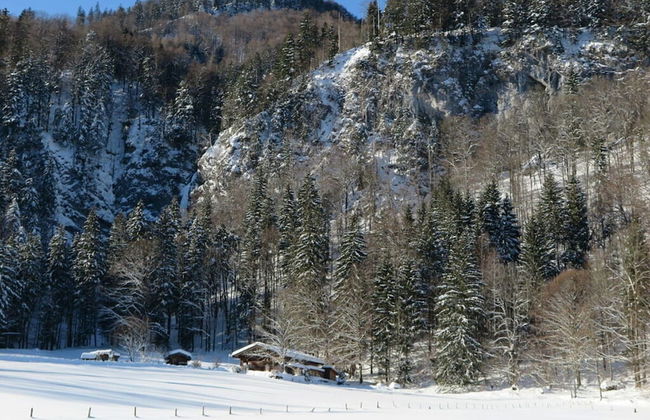 Nagelsmederij in het Huis Waldwinkel - Foto 11