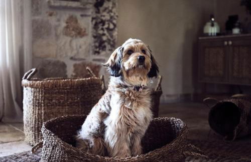 Leeda's Village - Photo 118