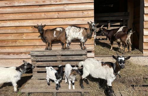 Gîte du Paradis Normand - Foto 24