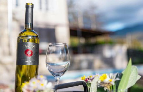 Villa Supljini - Foto 28