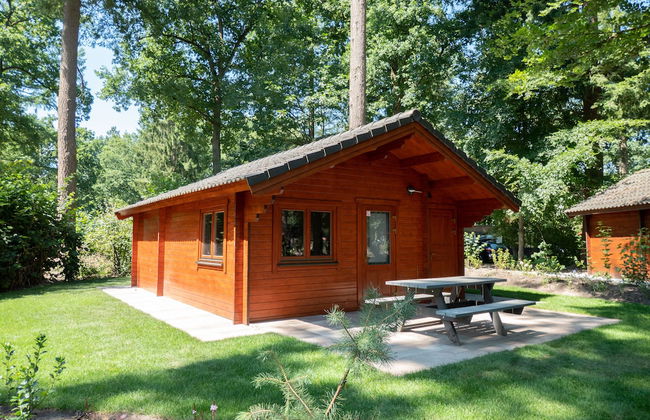 EuroParcs De Utrechtse Heuvelrug - Photo 17