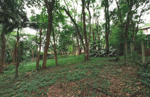 Chalé acolhedor cercado por natureza | Granja Viana - Foto 20