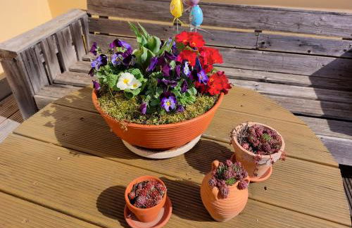 Apartment Sonnenschein - Foto 25