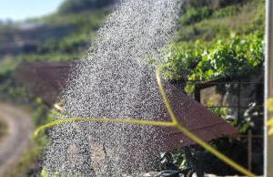 cabaña do rei - Foto 59