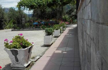 Toulatos Pantelis - Photo 42