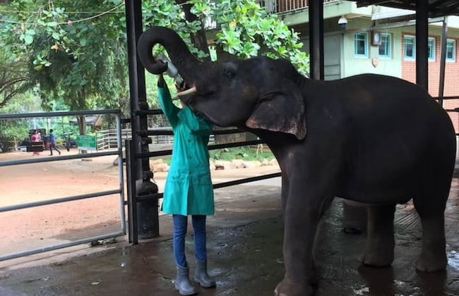 Explore Central Srilanka - Foto 15