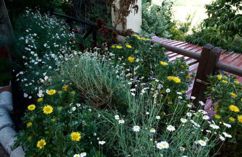 Casa Rural de Tío Félix - Foto 36