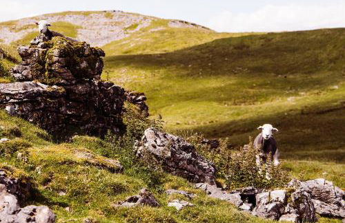 Dragonfly Cottage, Canal location - Photo 26