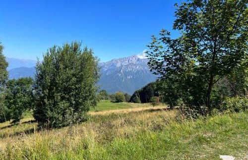 La coccinella - Foto 22