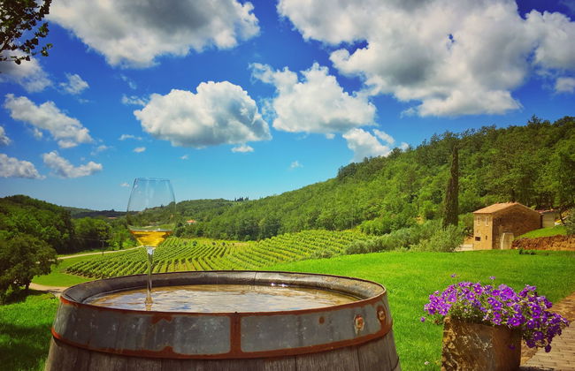 Studio Gallery Bura - Foto 45