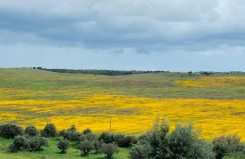 Canto da Planície - Foto 58