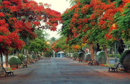 Benavides 5 - Foto 19